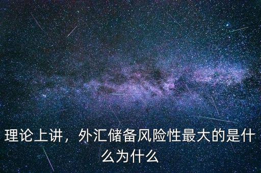 理論上講，外匯儲(chǔ)備風(fēng)險(xiǎn)性最大的是什么為什么