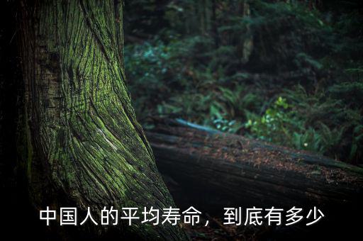 中國人的平均壽命，到底有多少