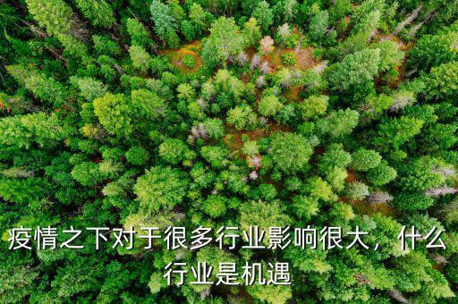 疫情之下對于很多行業(yè)影響很大，什么行業(yè)是機(jī)遇