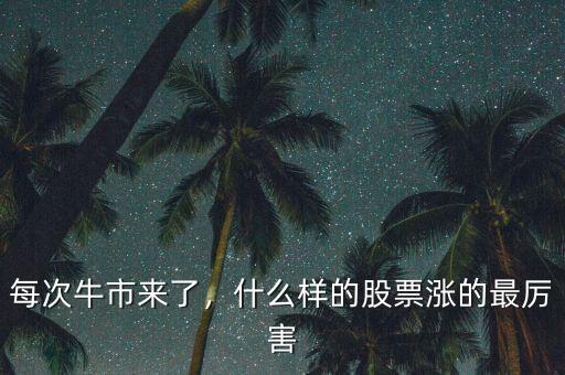 每次牛市來了，什么樣的股票漲的最厲害