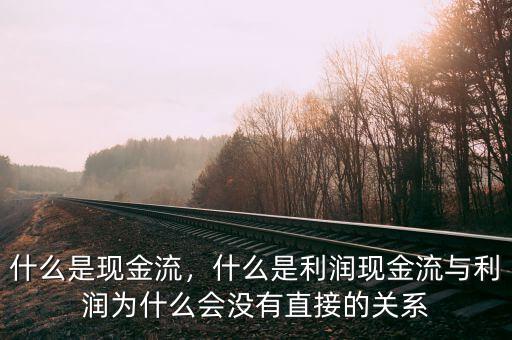 什么是現(xiàn)金流，什么是利潤現(xiàn)金流與利潤為什么會沒有直接的關系
