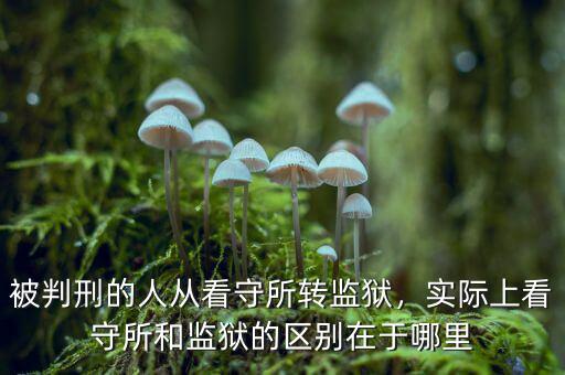 被判刑的人從看守所轉(zhuǎn)監(jiān)獄，實際上看守所和監(jiān)獄的區(qū)別在于哪里