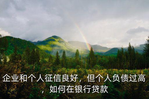 企業(yè)和個(gè)人征信良好，但個(gè)人負(fù)債過(guò)高，如何在銀行貸款