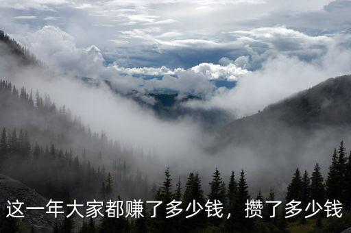 這一年大家都賺了多少錢(qián)，攢了多少錢(qián)