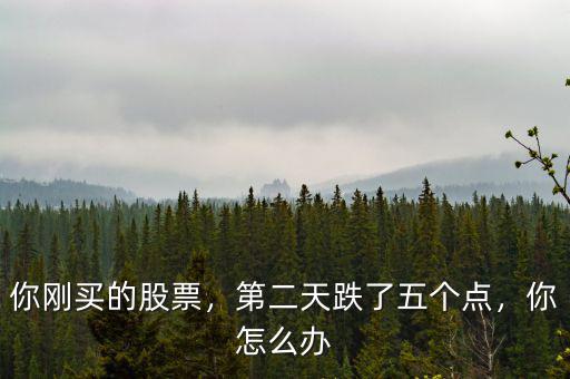 你剛買的股票，第二天跌了五個(gè)點(diǎn)，你怎么辦