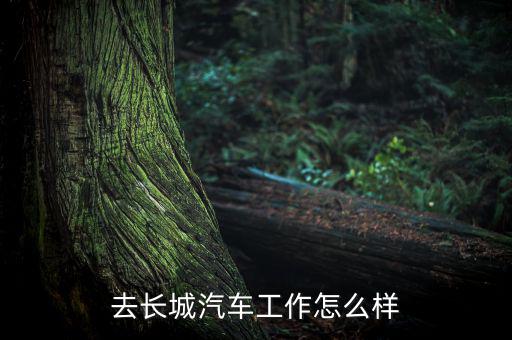 去長(zhǎng)城汽車(chē)工作怎么樣