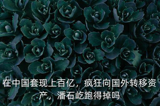 在中國套現(xiàn)上百億，瘋狂向國外轉(zhuǎn)移資產(chǎn)，潘石屹跑得掉嗎