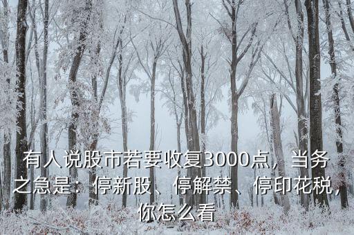 有人說股市若要收復(fù)3000點(diǎn)，當(dāng)務(wù)之急是：停新股、停解禁、停印花稅，你怎么看