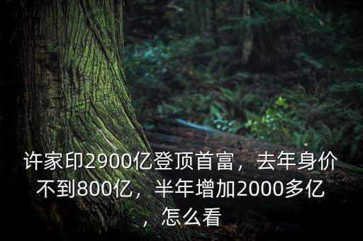 許家印2900億登頂首富，去年身價不到800億，半年增加2000多億，怎么看
