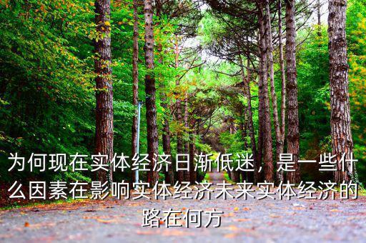 為何現(xiàn)在實(shí)體經(jīng)濟(jì)日漸低迷，是一些什么因素在影響實(shí)體經(jīng)濟(jì)未來實(shí)體經(jīng)濟(jì)的路在何方