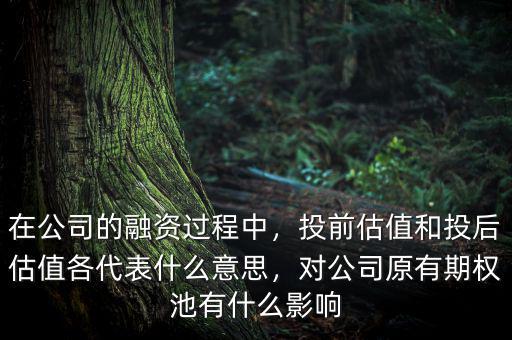 在公司的融資過(guò)程中，投前估值和投后估值各代表什么意思，對(duì)公司原有期權(quán)池有什么影響