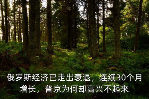 俄羅斯經(jīng)濟(jì)已走出衰退，連續(xù)30個月增長，普京為何卻高興不起來