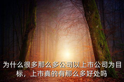 為什么很多那么多公司以上市公司為目標，上市真的有那么多好處嗎
