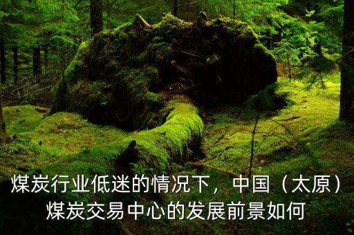 煤炭行業(yè)低迷的情況下，中國（太原）煤炭交易中心的發(fā)展前景如何