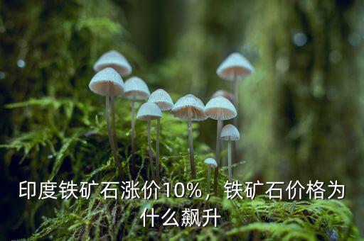 印度鐵礦石漲價(jià)10%，鐵礦石價(jià)格為什么飆升