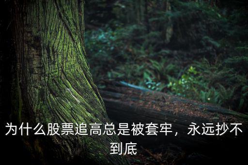 為什么股票追高總是被套牢，永遠(yuǎn)抄不到底