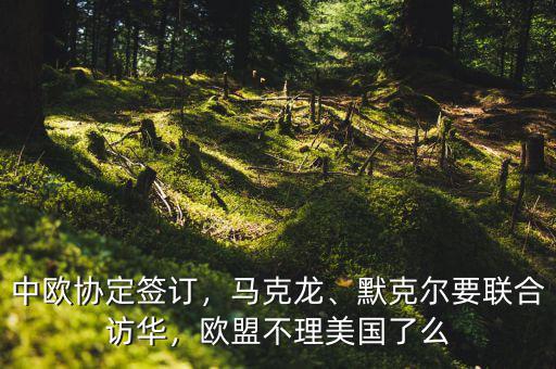 中歐協(xié)定簽訂，馬克龍、默克爾要聯(lián)合訪華，歐盟不理美國了么