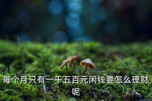 一個月1500怎么理財(cái),大學(xué)生一個月1500元
