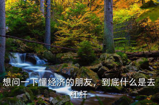 想問一下懂經(jīng)濟(jì)的朋友，到底什么是去杠桿