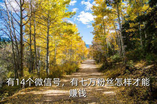 有14個(gè)微信號(hào)，有七萬粉絲怎樣才能賺錢