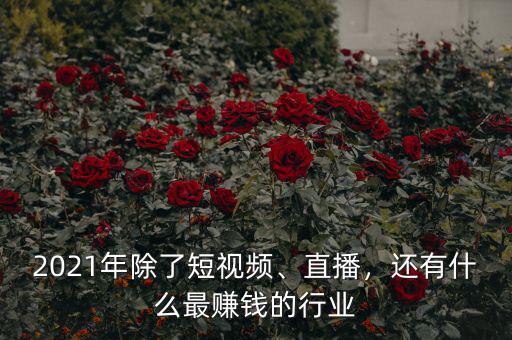 2021年除了短視頻、直播，還有什么最賺錢的行業(yè)