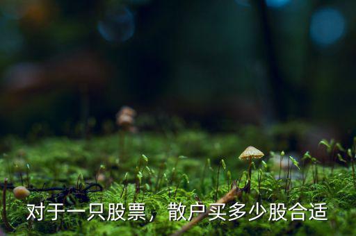 對于一只股票，散戶買多少股合適