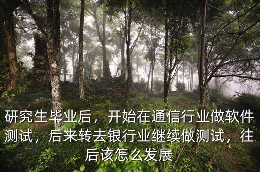 研究生畢業(yè)后，開始在通信行業(yè)做軟件測試，后來轉(zhuǎn)去銀行業(yè)繼續(xù)做測試，往后該怎么發(fā)展