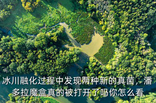 冰川融化過程中發(fā)現(xiàn)兩種新的真菌，潘多拉魔盒真的被打開了嗎你怎么看