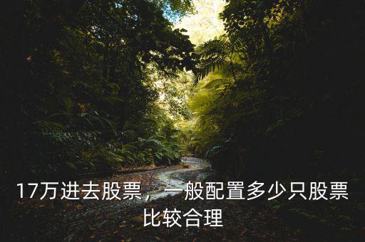 17萬進去股票，一般配置多少只股票比較合理