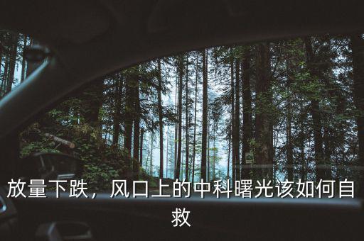放量下跌，風(fēng)口上的中科曙光該如何自救