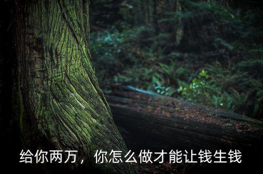 給你兩萬，你怎么做才能讓錢生錢