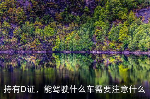 持有D證，能駕駛什么車需要注意什么