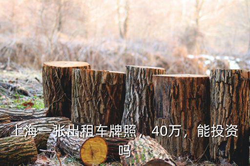 上海一張出租車(chē)牌照，40萬(wàn)，能投資嗎