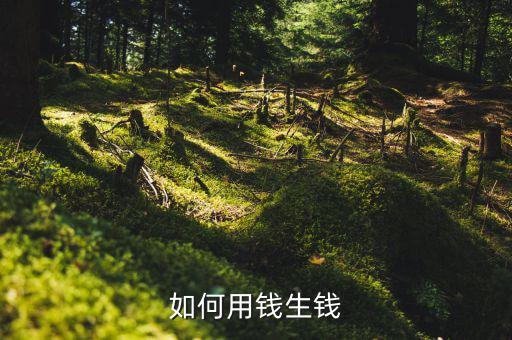 怎么才能讓錢(qián)生錢(qián),你怎么做才能讓錢(qián)生錢(qián)