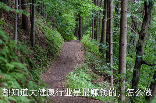 都知道大健康行業(yè)是最賺錢的，怎么做