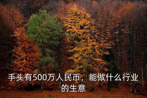 手頭有500萬人民幣，能做什么行業(yè)的生意