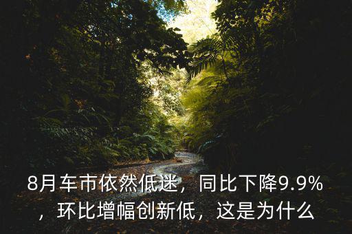 8月車市依然低迷，同比下降9.9%，環(huán)比增幅創(chuàng)新低，這是為什么
