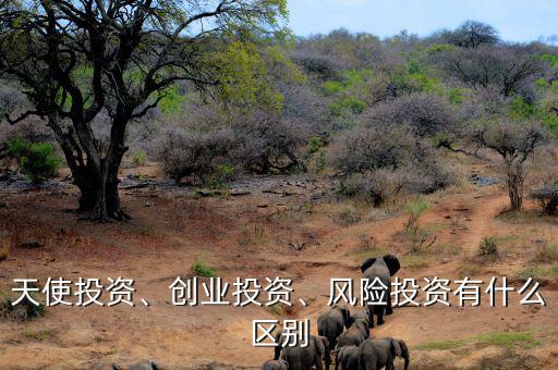 天使投資、創(chuàng)業(yè)投資、風險投資有什么區(qū)別