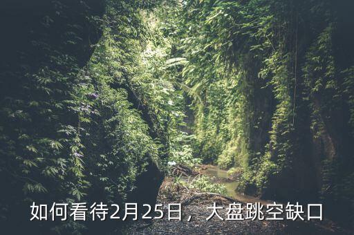如何看待2月25日，大盤跳空缺口