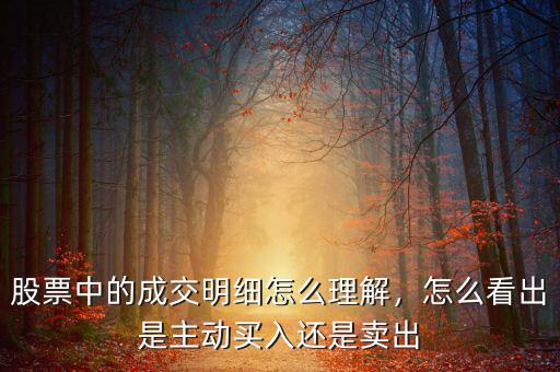 股票中的成交明細(xì)怎么理解，怎么看出是主動(dòng)買入還是賣出