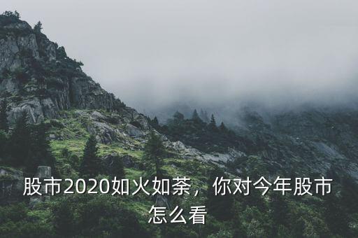 股市2020如火如荼，你對(duì)今年股市怎么看