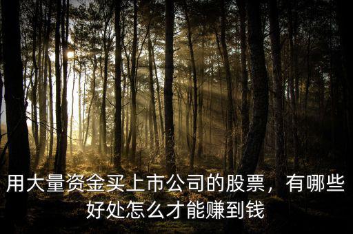 用大量資金買上市公司的股票，有哪些好處怎么才能賺到錢