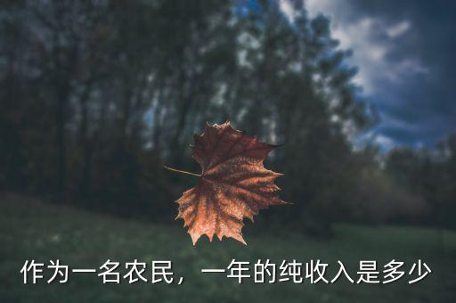 作為一名農(nóng)民，一年的純收入是多少