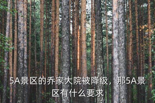 5A景區(qū)的喬家大院被降級，那5A景區(qū)有什么要求