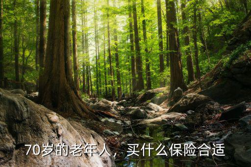 70歲的老年人，買什么保險合適