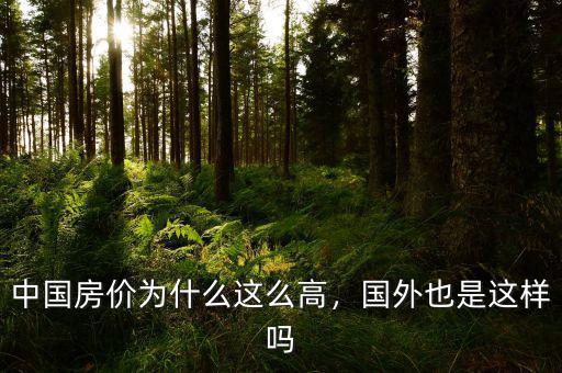 中國房價(jià)為什么這么高，國外也是這樣嗎
