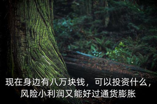 現(xiàn)在身邊有八萬塊錢，可以投資什么，風(fēng)險(xiǎn)小利潤又能好過通貨膨脹