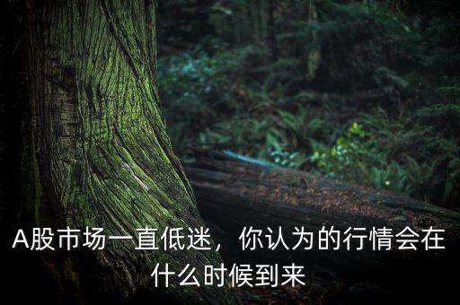 A股市場一直低迷，你認(rèn)為的行情會在什么時候到來