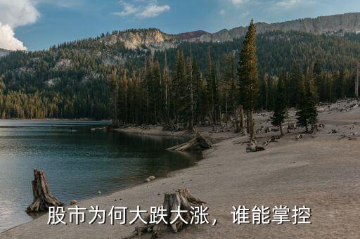 股市為何大跌大漲，誰能掌控