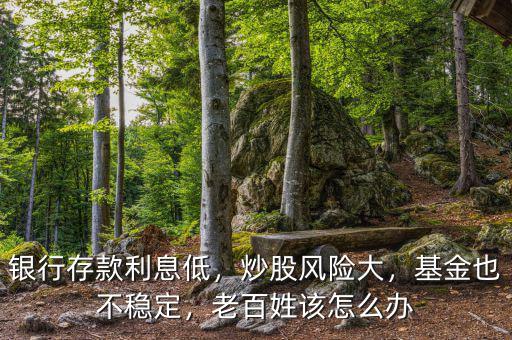 銀行存款利息低，炒股風(fēng)險(xiǎn)大，基金也不穩(wěn)定，老百姓該怎么辦